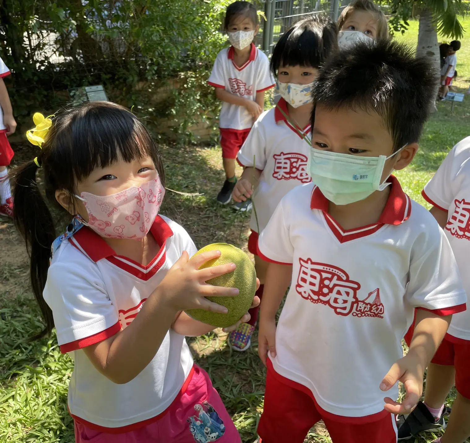 東海大學小學部圖片