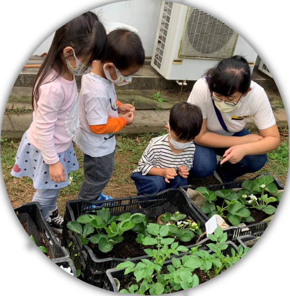 東海大學小學部幼兒圖片